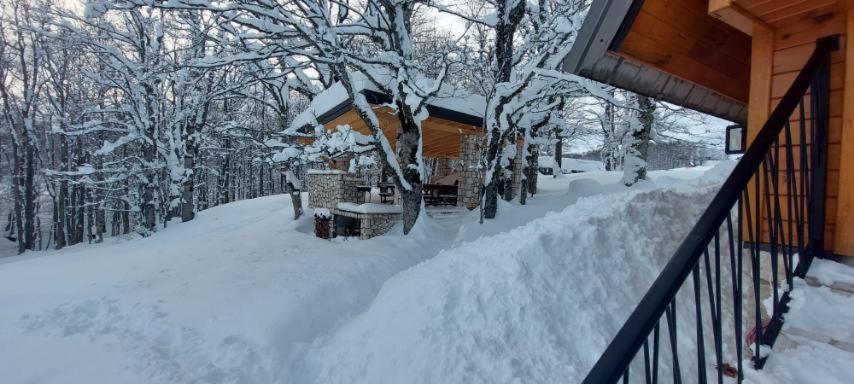 Vila Sun Forest Žabljak Extérieur photo