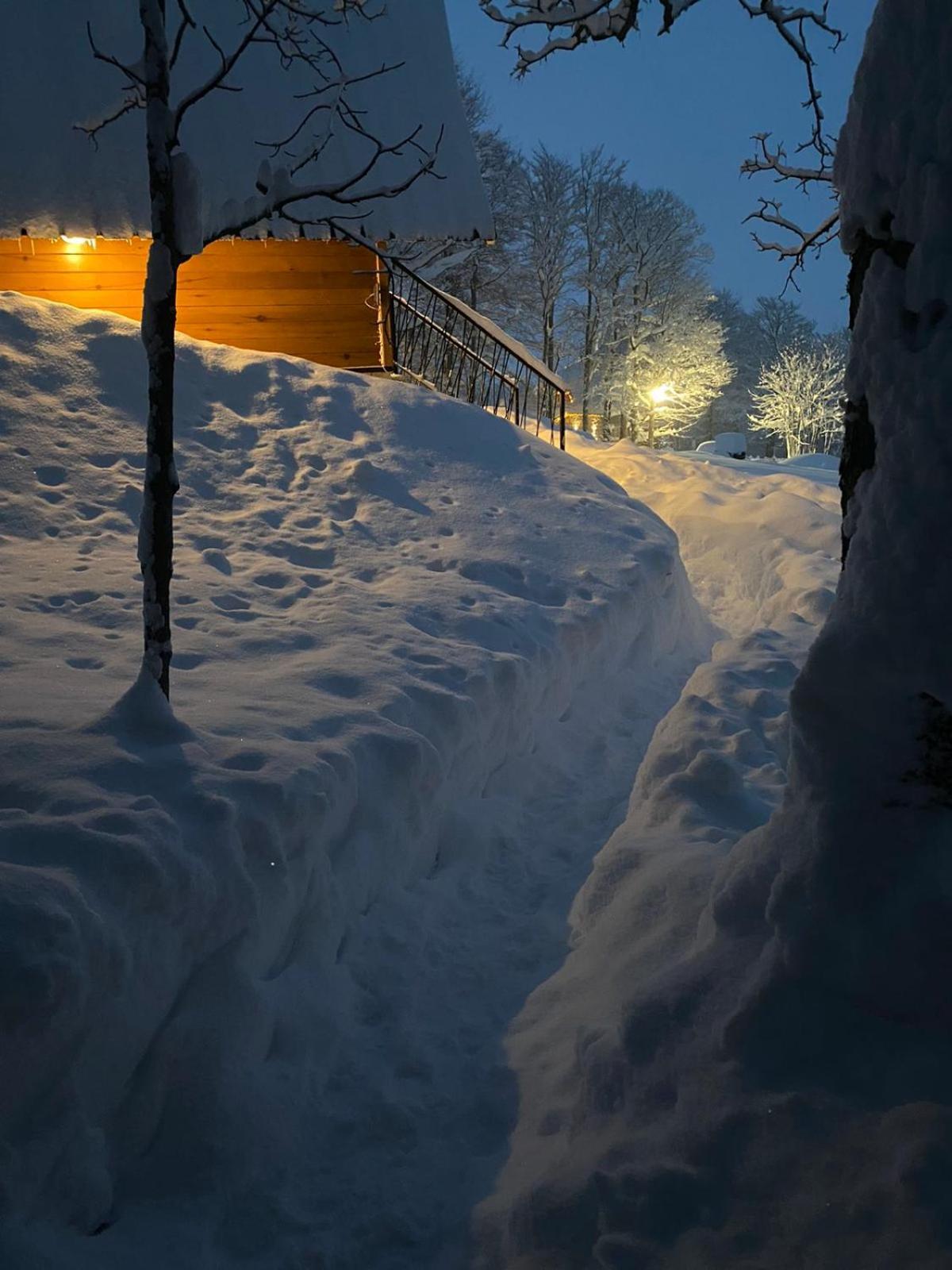 Vila Sun Forest Žabljak Extérieur photo