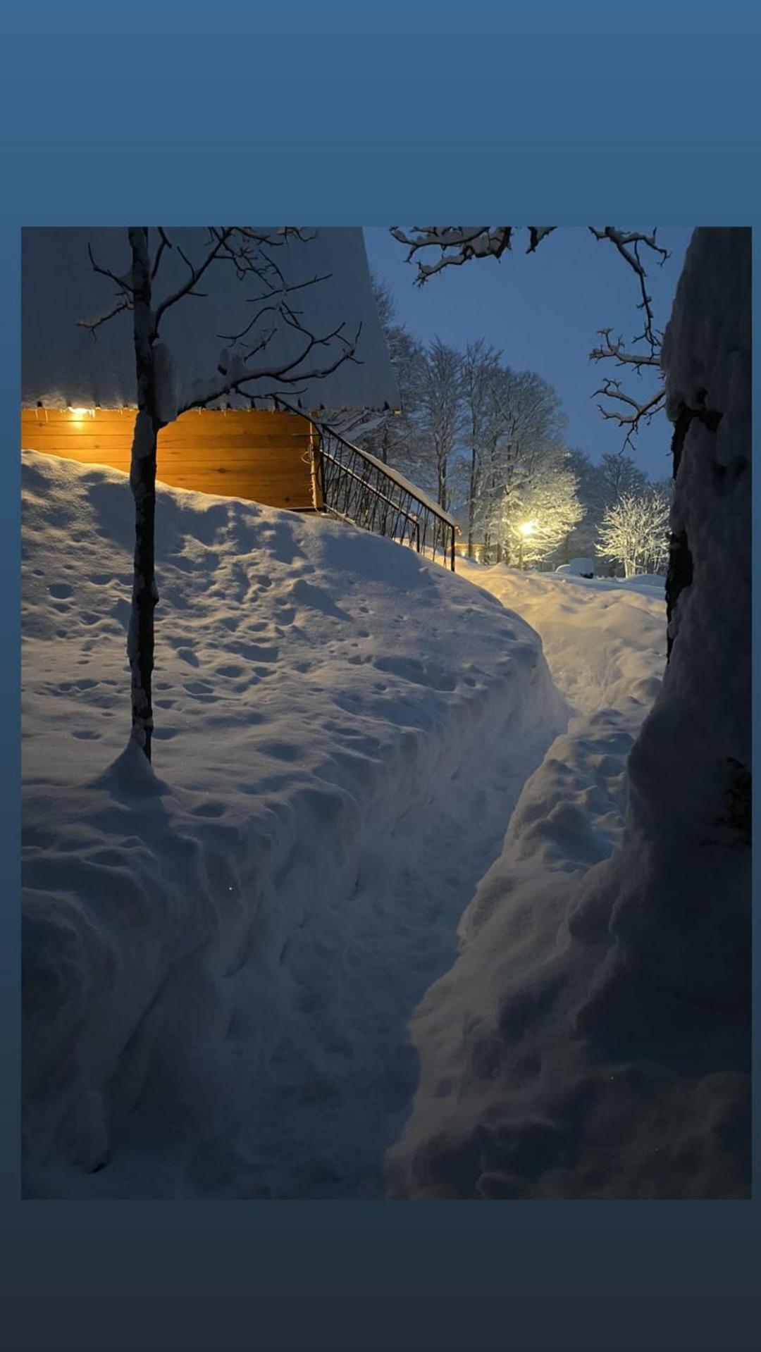 Vila Sun Forest Žabljak Extérieur photo